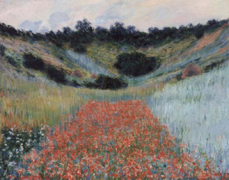Claude Monet Poppy field in a hollow near Givemy oil painting image